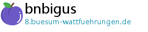 bnbigus